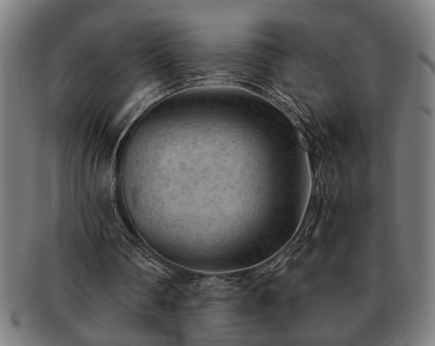 X0000091880290200709121418