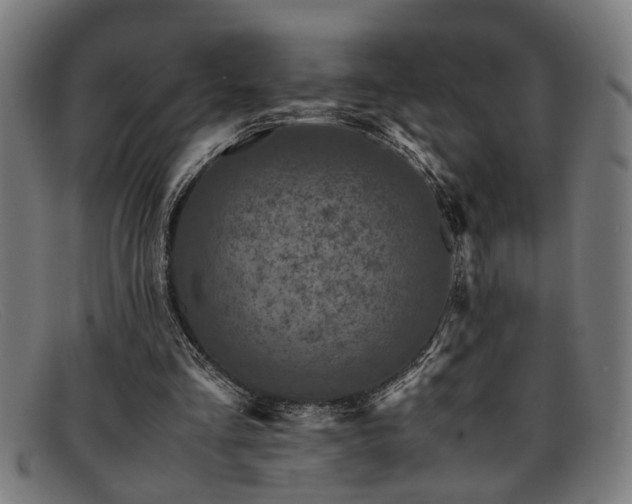 X0000091880293200709121418