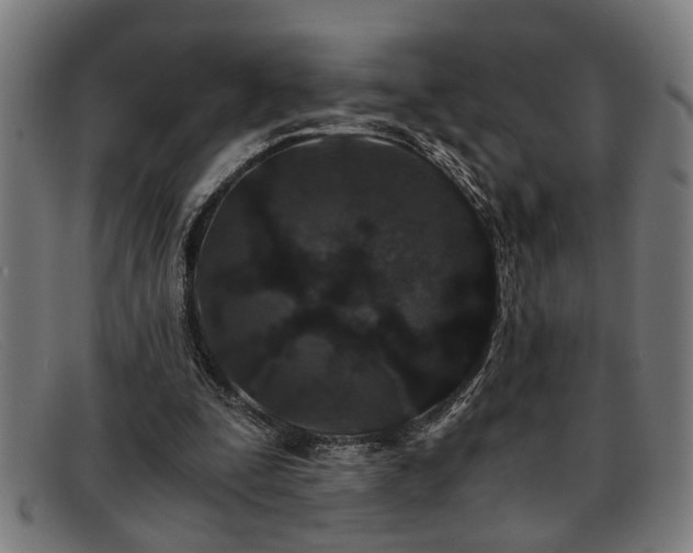 X0000091880295200709121418