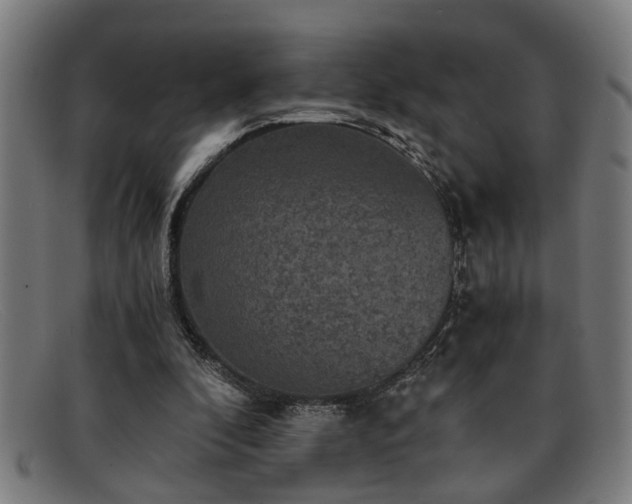 X0000091880296200709121418