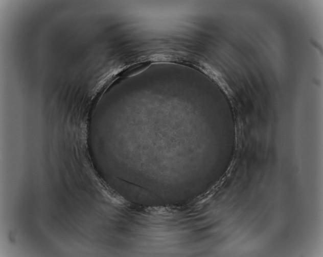 X0000091880297200709121418