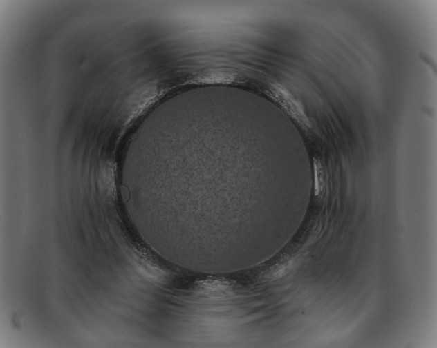 X0000091880300200709121418