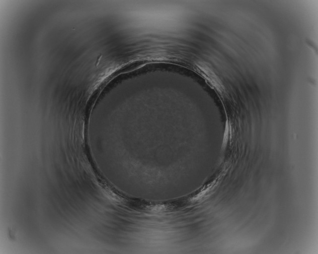 X0000091880301200709121418