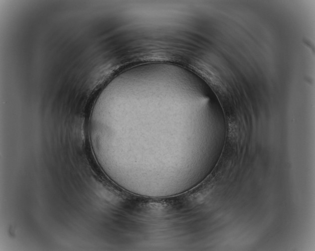 X0000091880302200709121418