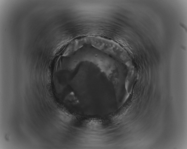 X0000091880303200709121418