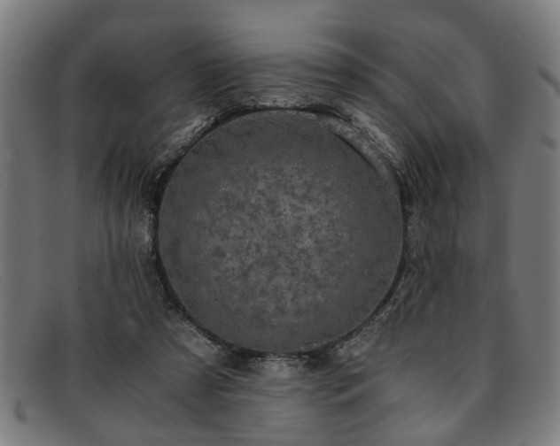 X0000091880305200709121418