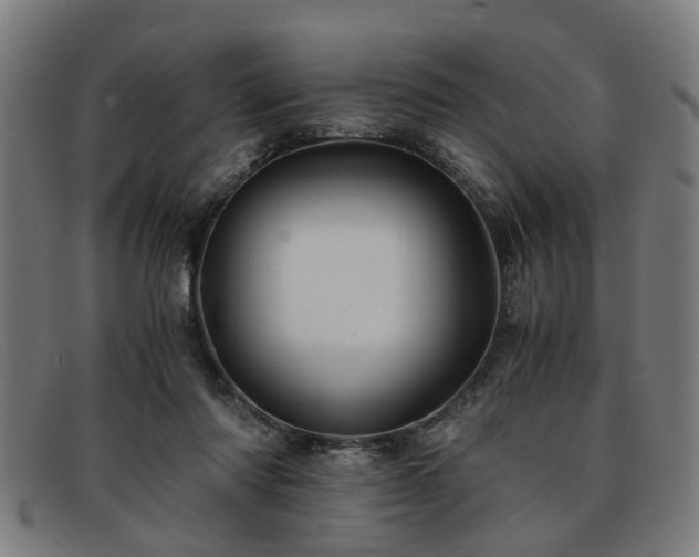 X0000091880310200709121418