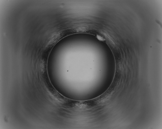 X0000091880311200709121418