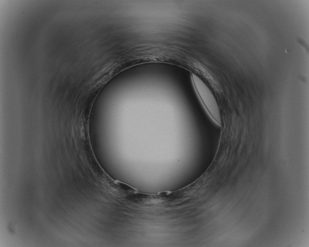 X0000091880313200709121418