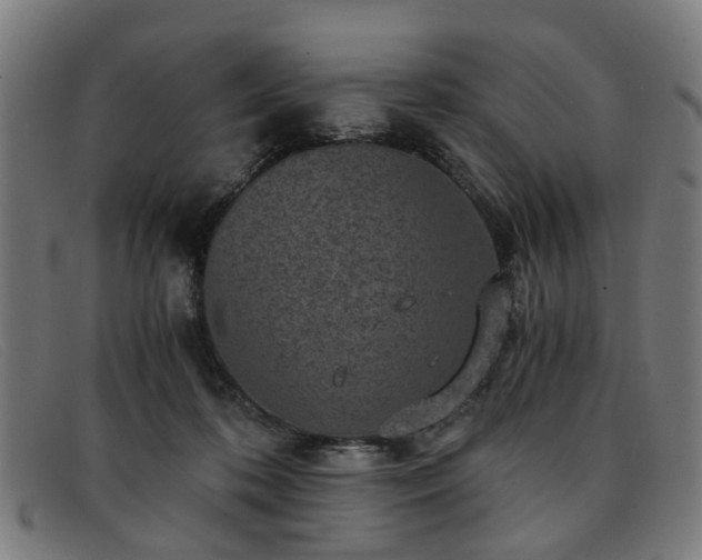 X0000091880316200709121418