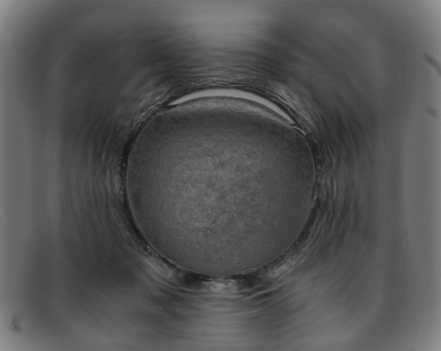 X0000091880317200709121418