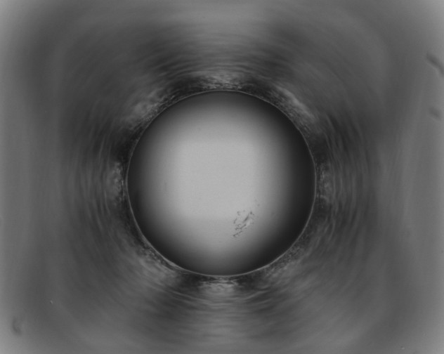 X0000091880318200709121418