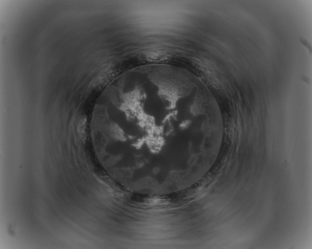 X0000091880319200709121418