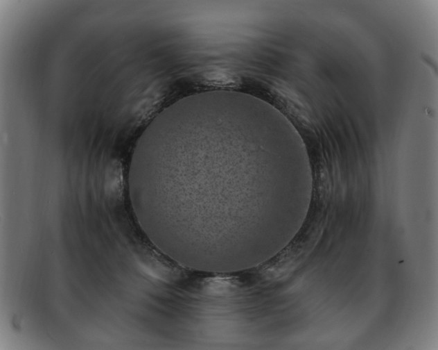 X0000091880320200709121418