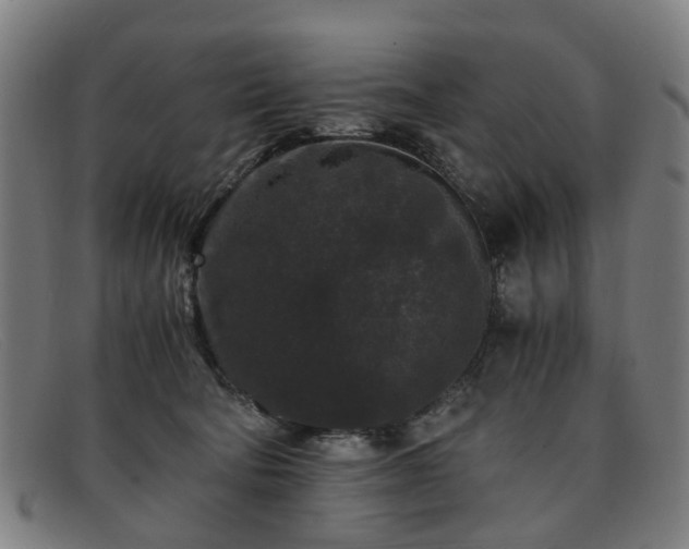 X0000091880322200709121418