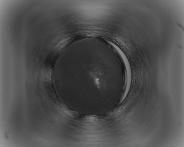 X0000091880325200709121418