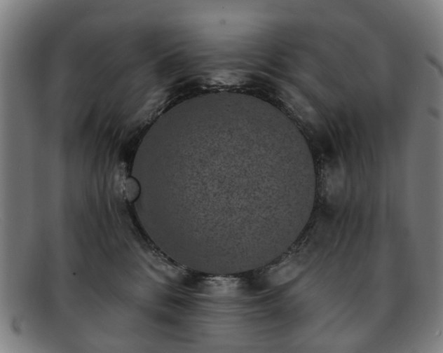 X0000091880328200709121418