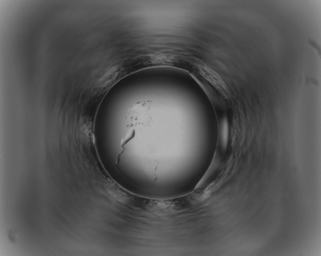 X0000091880329200709121418