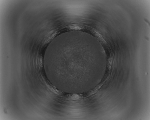 X0000091880330200709121418