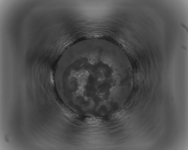 X0000091880331200709121418