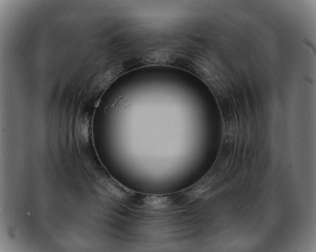 X0000091880334200709121418