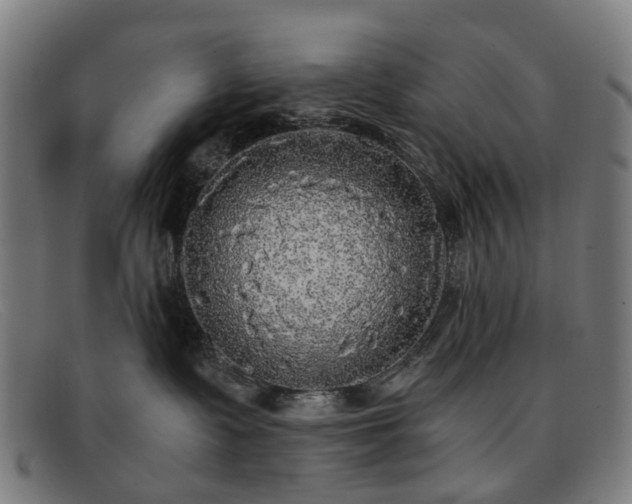 X0000091880335200709121418