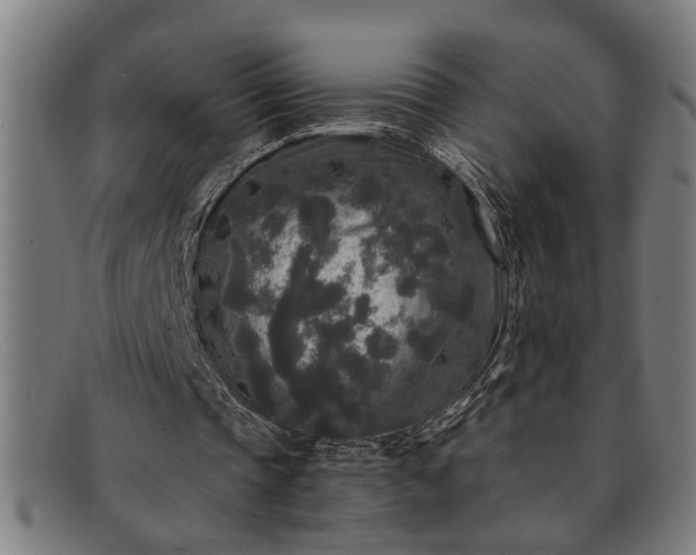 X0000091880337200709121417