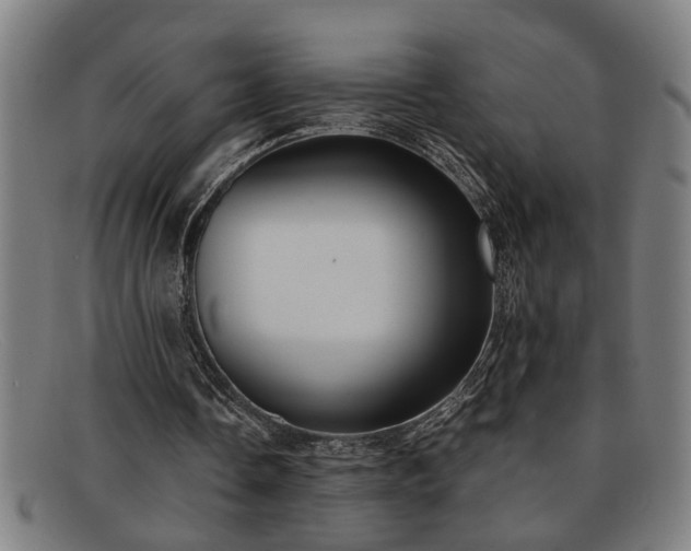 X0000091880338200709121417