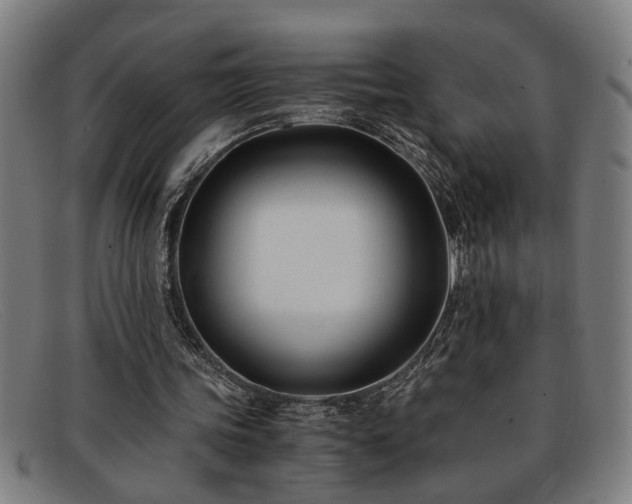 X0000091880339200709121417