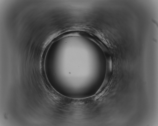 X0000091880340200709121417