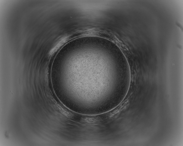 X0000091880341200709121417