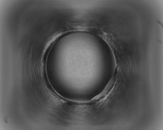 X0000091880342200709121417