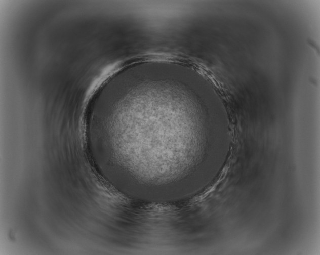 X0000091880343200709121417