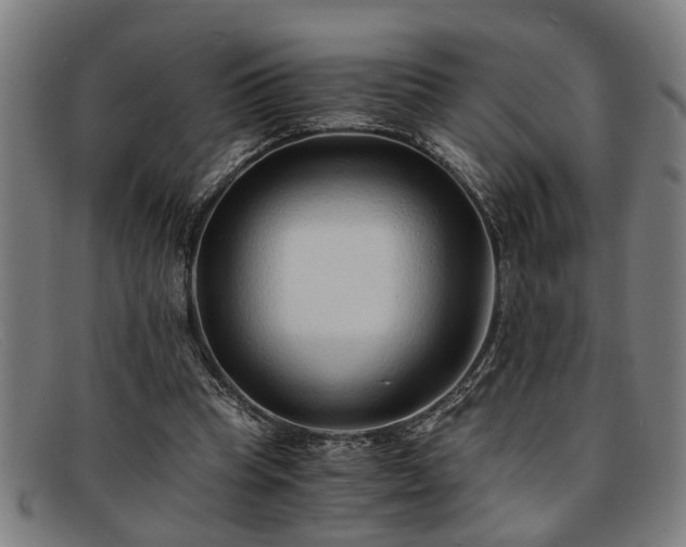 X0000091880345200709121417