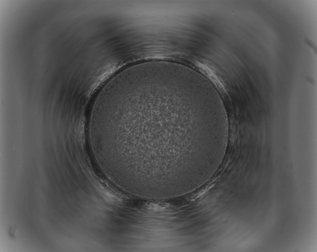 X0000091880346200709121417