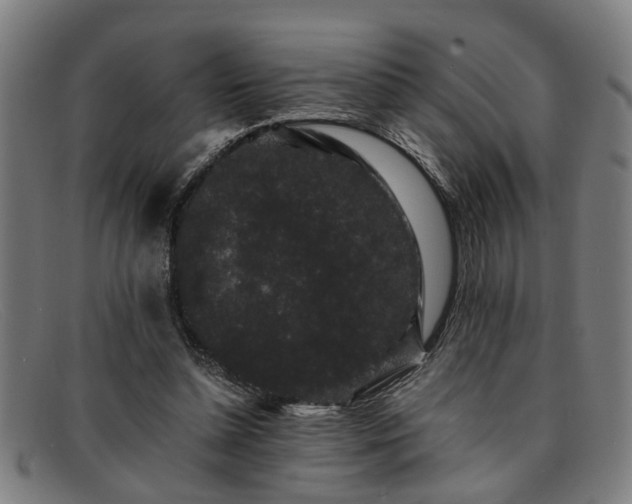 X0000091880348200709121417