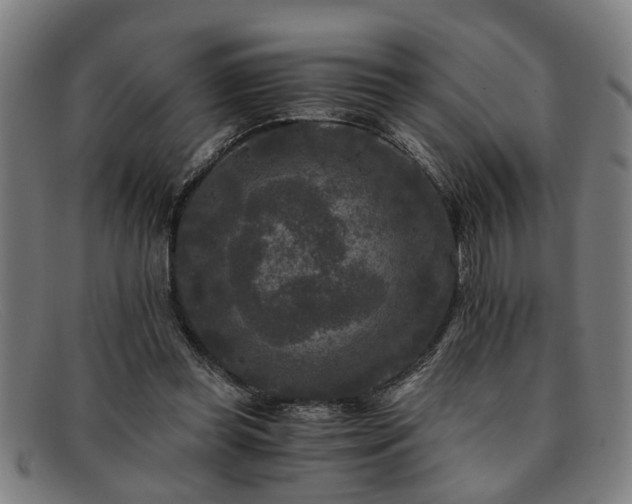 X0000091880349200709121417