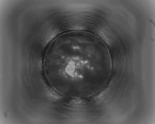 X0000091880351200709121417