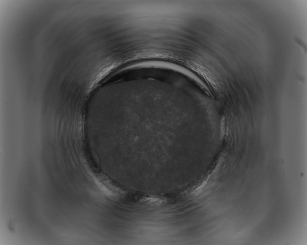 X0000091880352200709121417