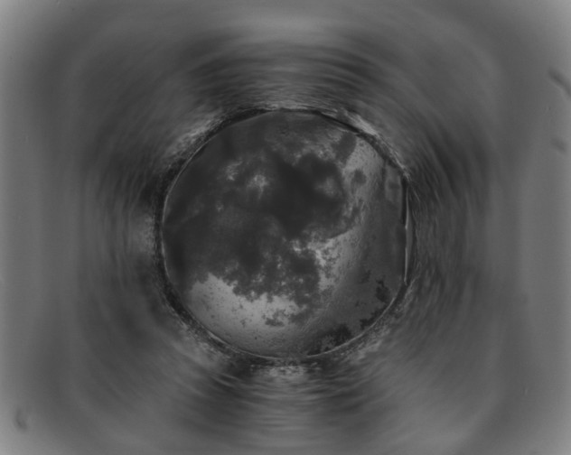 X0000091880353200709121417