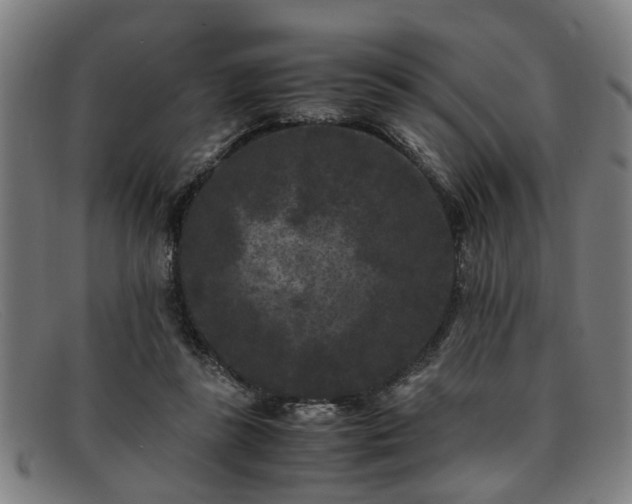 X0000091880355200709121418