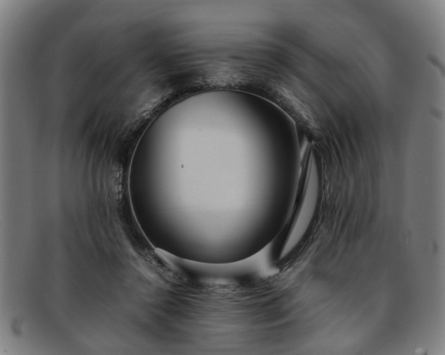 X0000091880356200709121418