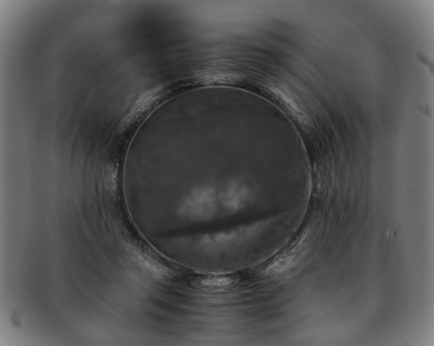 X0000091880357200709121418