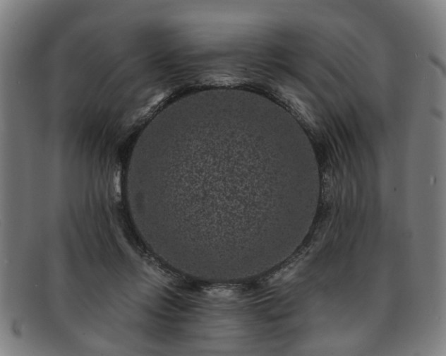 X0000091880358200709121418