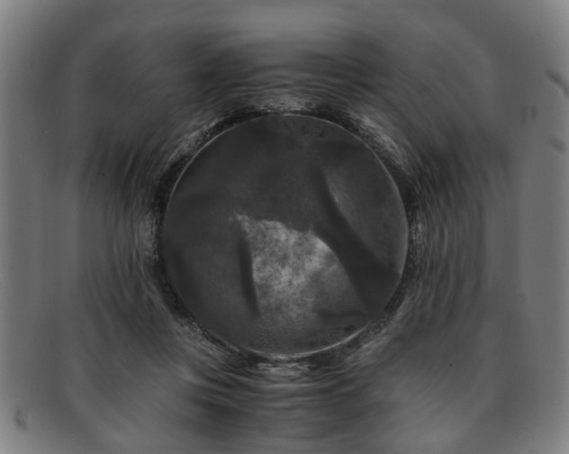 X0000091880359200709121418