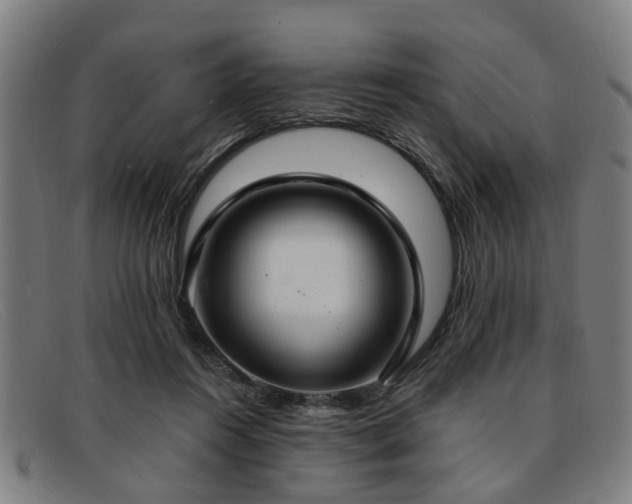 X0000091880360200709121418