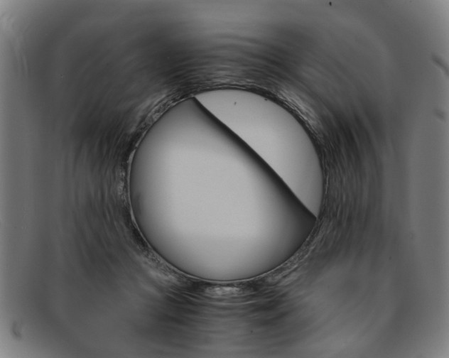 X0000091880361200709121418