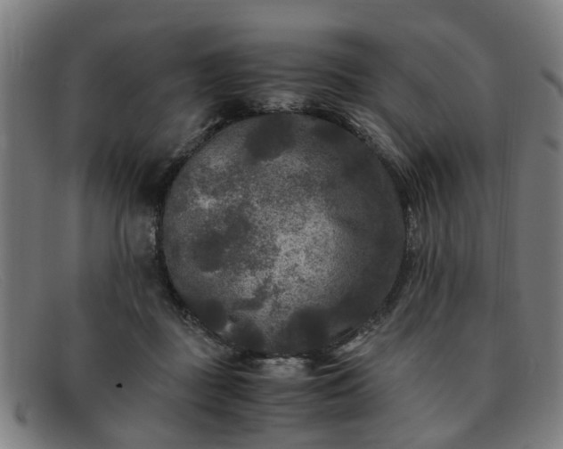 X0000091880363200709121418