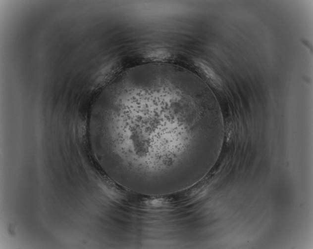 X0000091880365200709121418