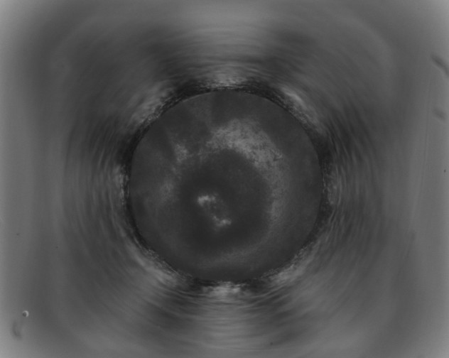 X0000091880366200709121418